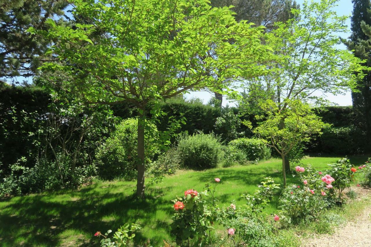 La Luberonne Bed & Breakfast Lourmarin Bagian luar foto