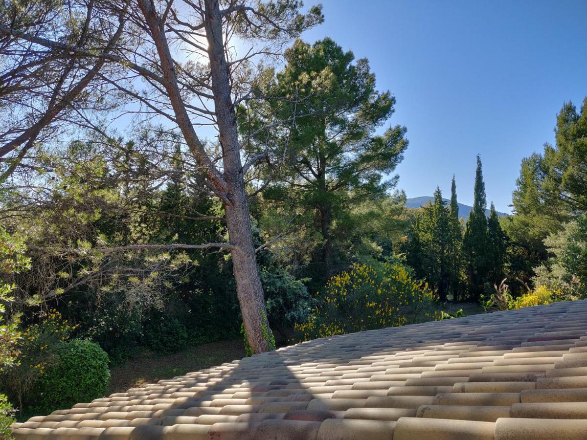 La Luberonne Bed & Breakfast Lourmarin Bagian luar foto