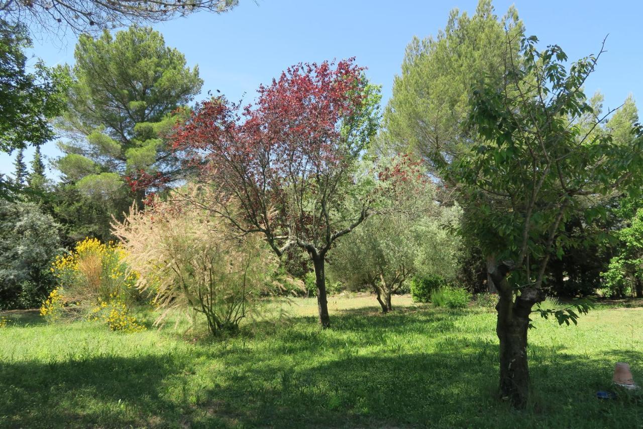 La Luberonne Bed & Breakfast Lourmarin Bagian luar foto