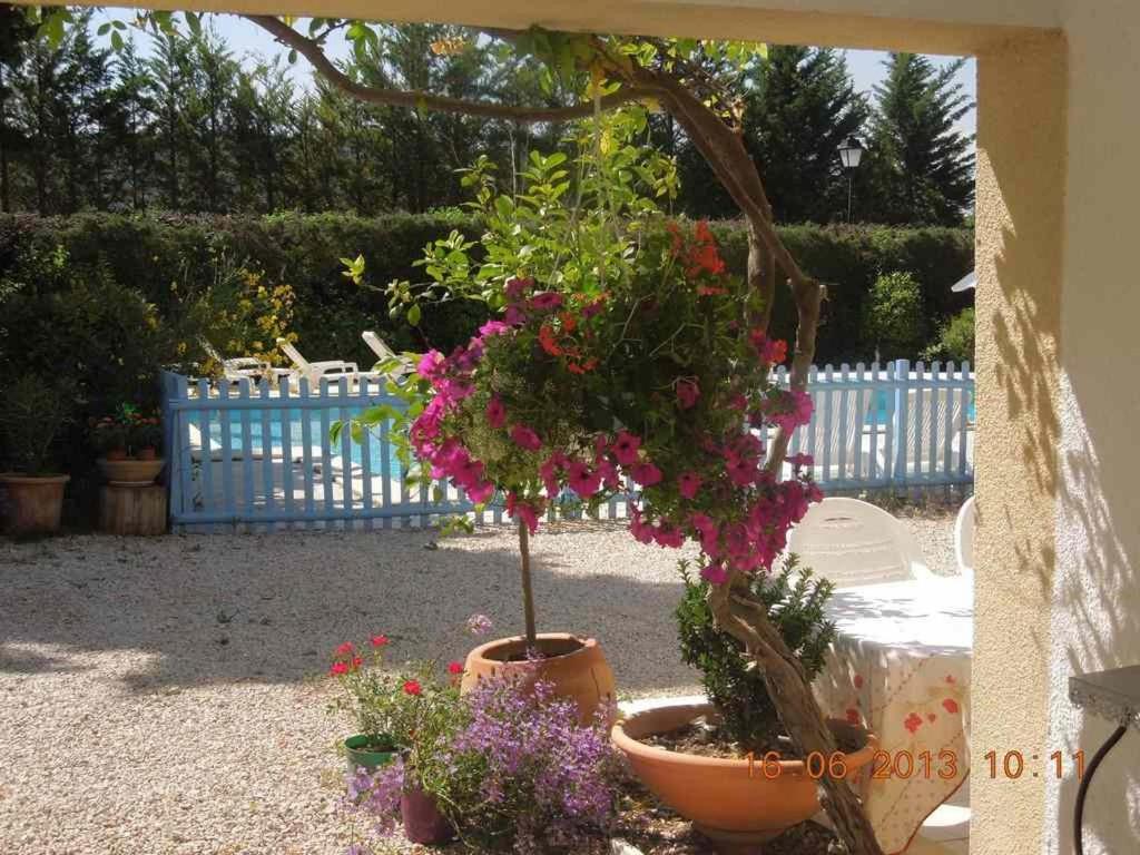 La Luberonne Bed & Breakfast Lourmarin Bagian luar foto